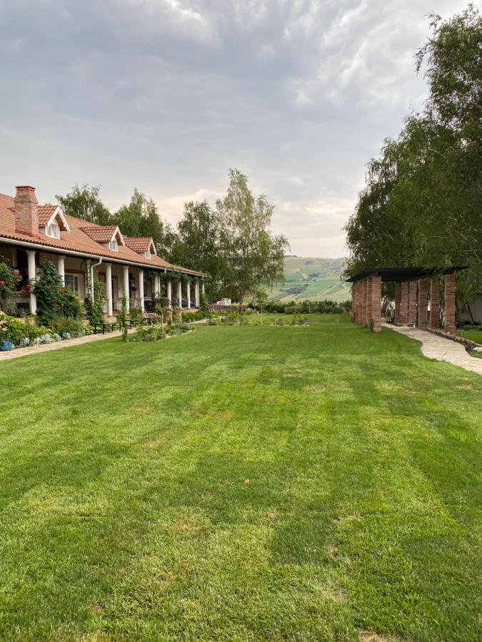 Country Club La Mesteceni Sebeş Extérieur photo