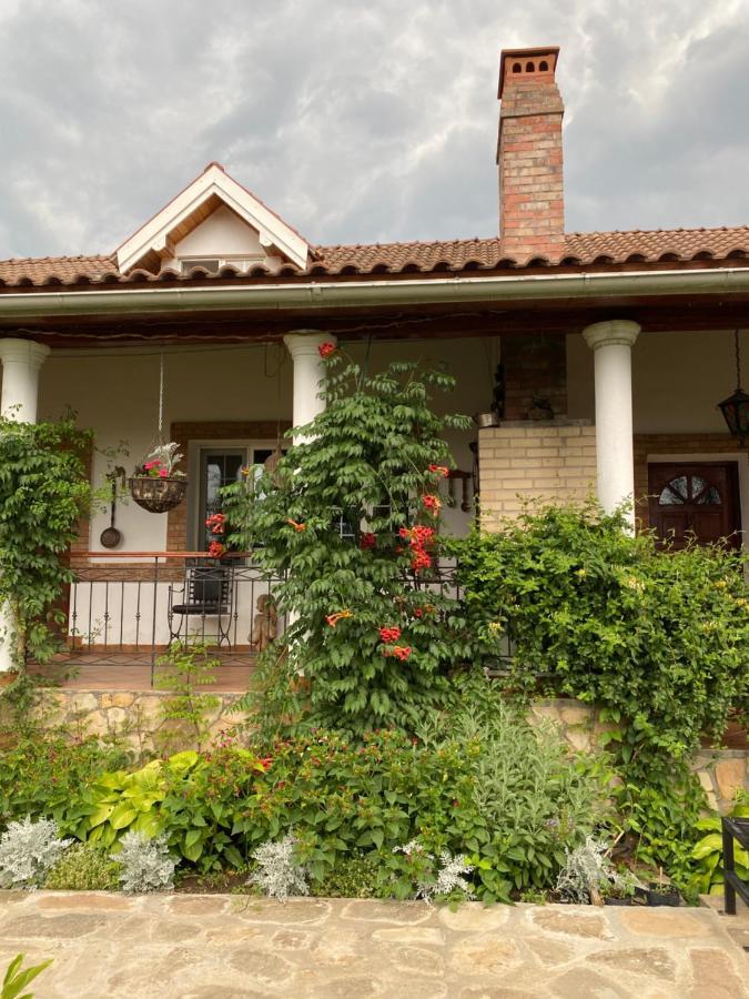 Country Club La Mesteceni Sebeş Extérieur photo