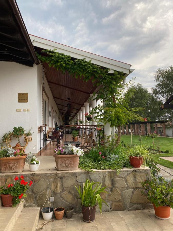 Country Club La Mesteceni Sebeş Extérieur photo
